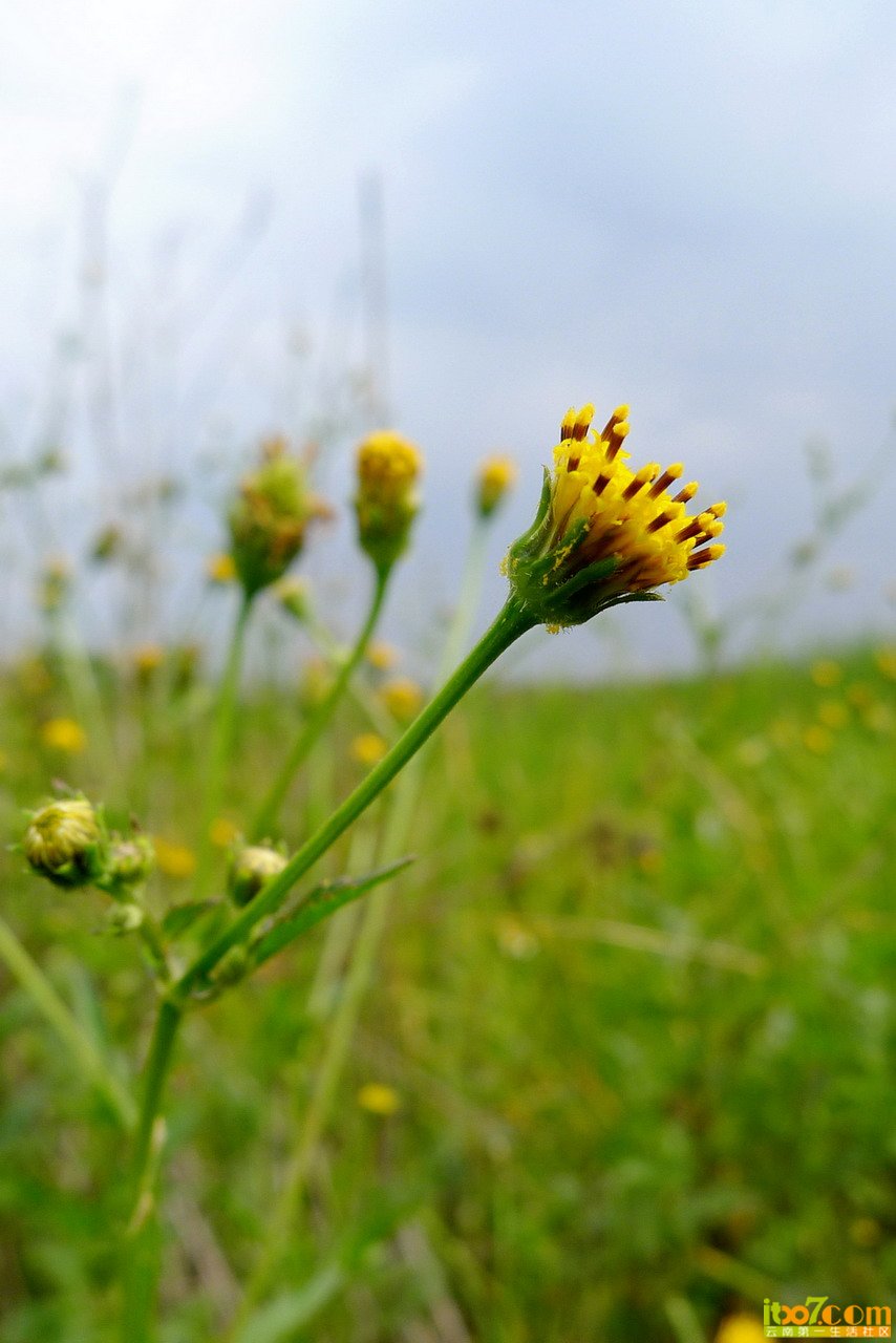 P1030177_缩小大小.jpg