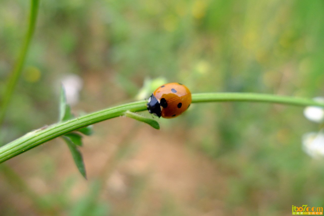 P1030188_缩小大小.jpg