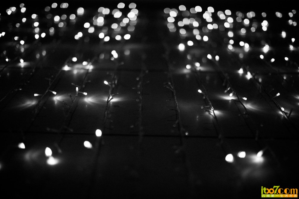 20130531-_MG_5861.jpg