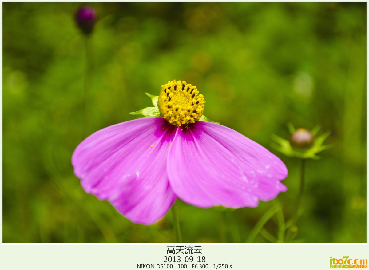 转山 003_副本.jpg