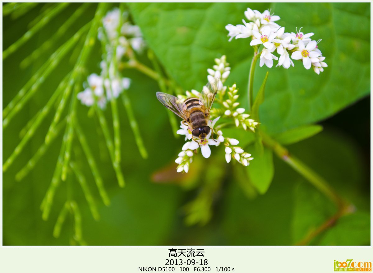 转山 009_副本.jpg