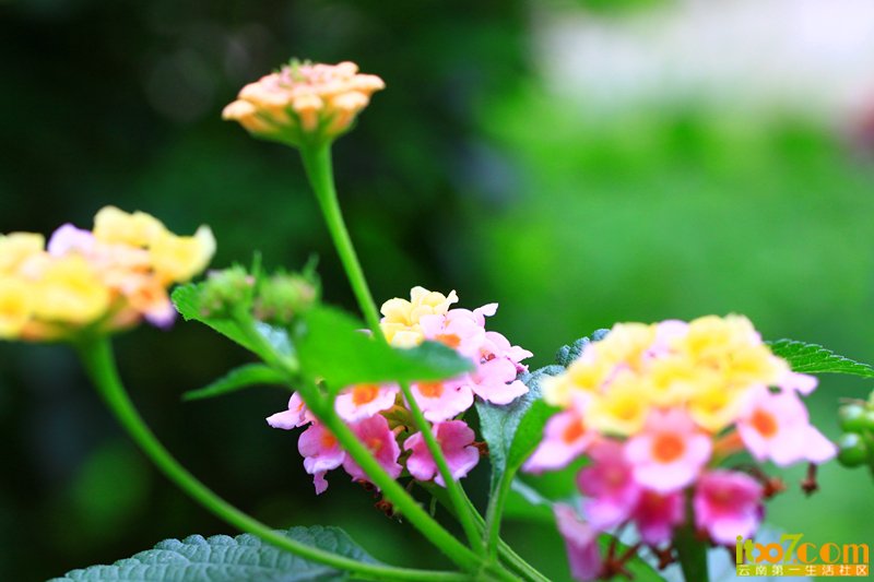 IMG_8748_副本.jpg