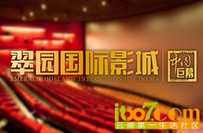 云南特产 痛风中药