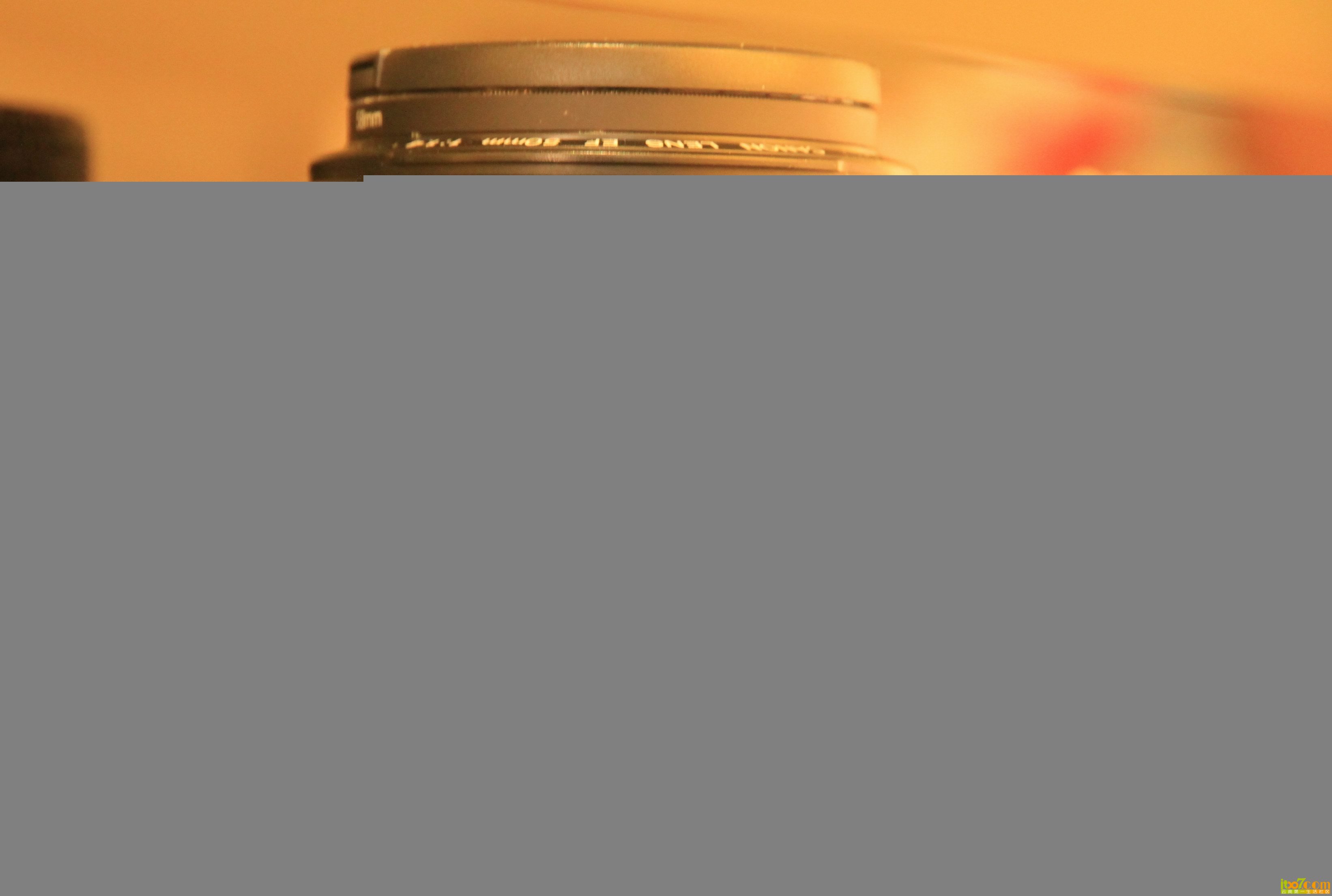 Canon 50 1.4