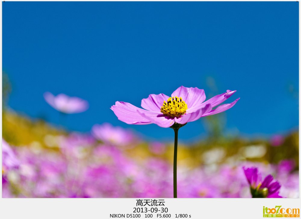 9-30 环滇 055_副本.jpg