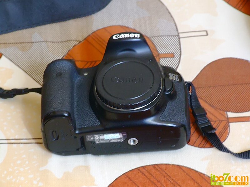 DSCF2637.JPG