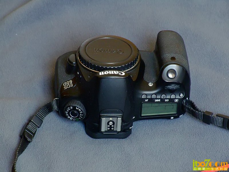 DSCF2639.JPG