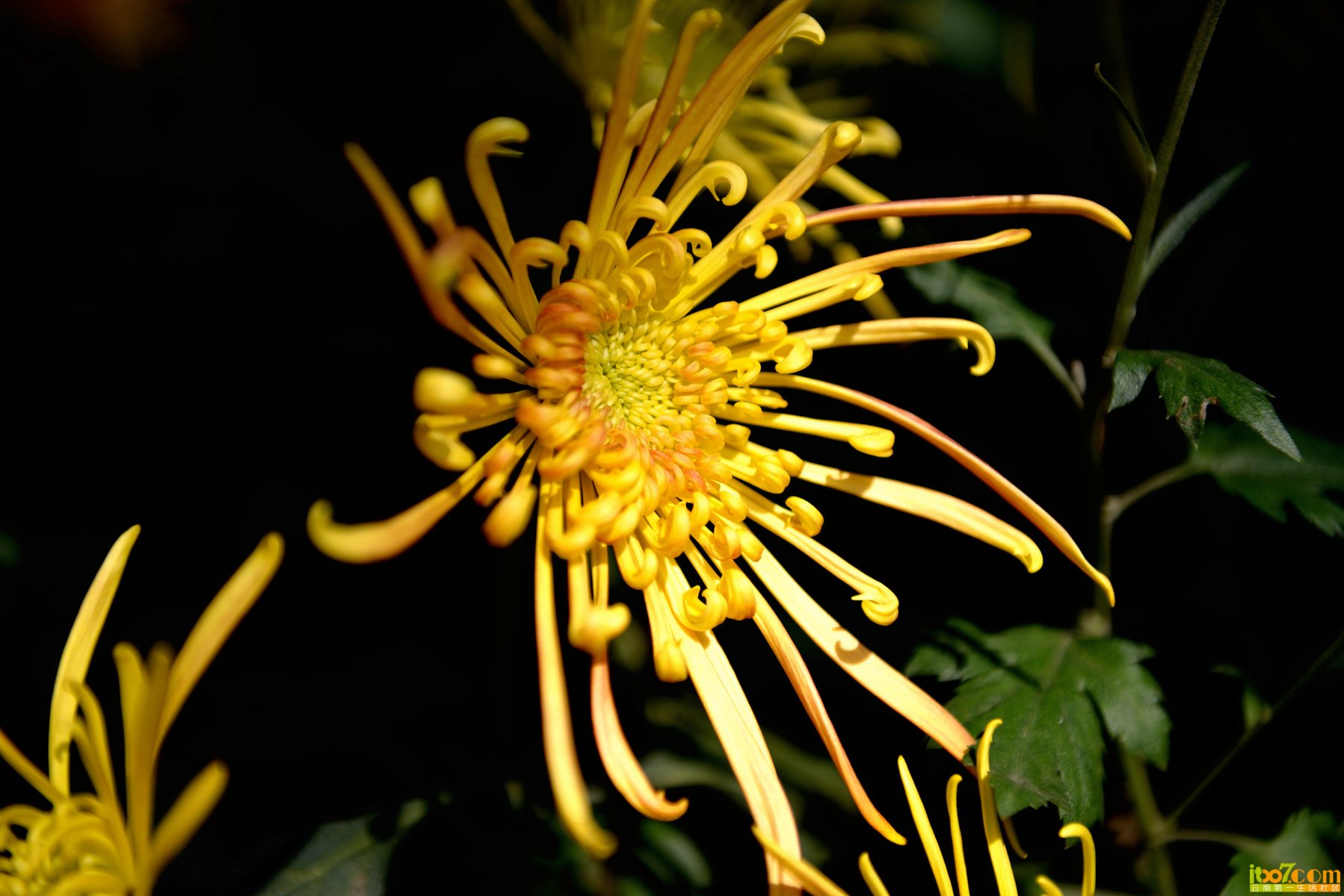 DSC_0189_副本.jpg
