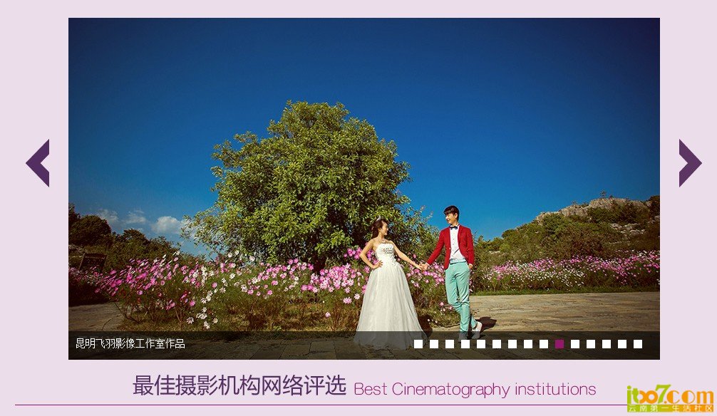 飞羽图1.jpg