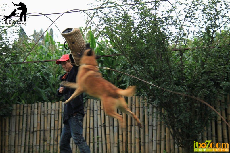 锐捷.jpg