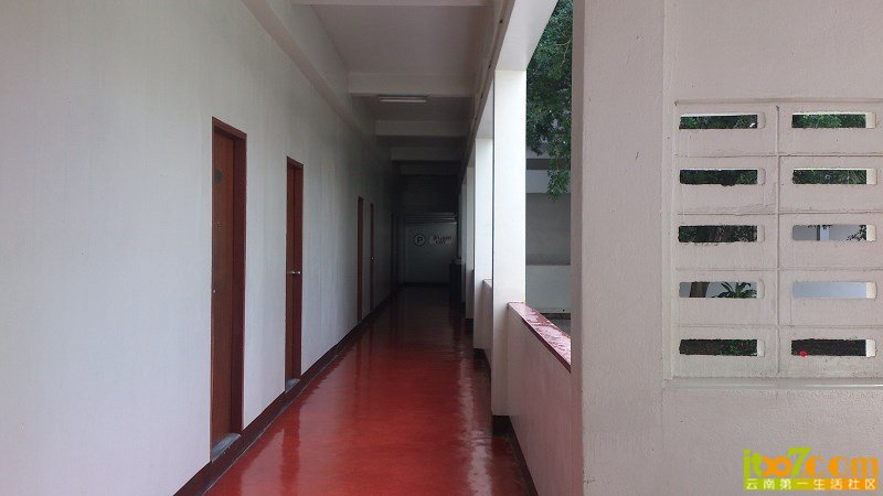 psb(54).jpg