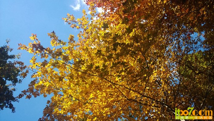 WP_20131105_15_29_58_Pro__highres.jpg