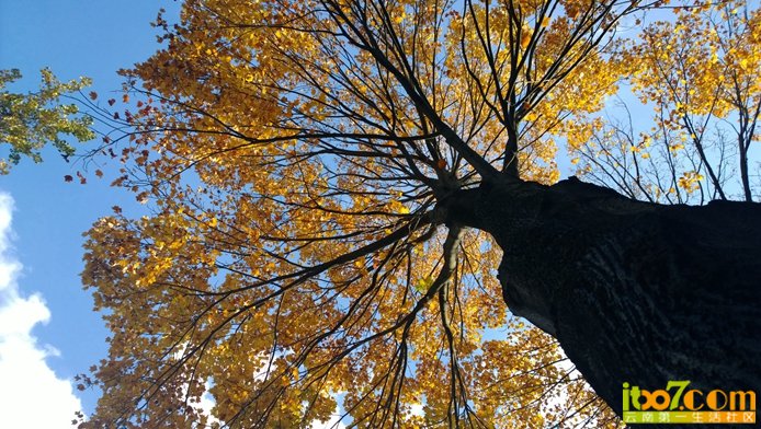 WP_20131105_16_03_35_Pro__highres.jpg