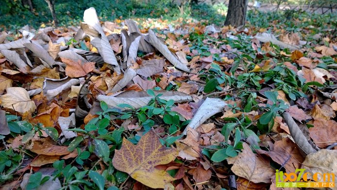 WP_20131105_16_26_21_Pro__highres.jpg