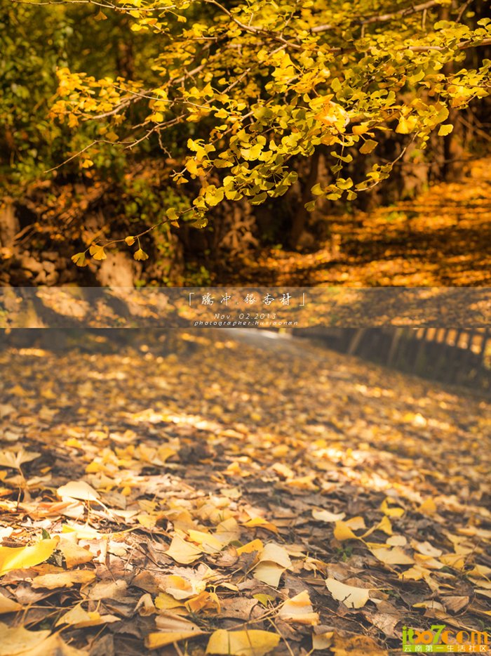 IMG_7040 副本副本.jpg