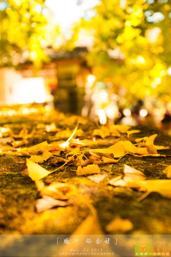 IMG_7076 副本.jpg