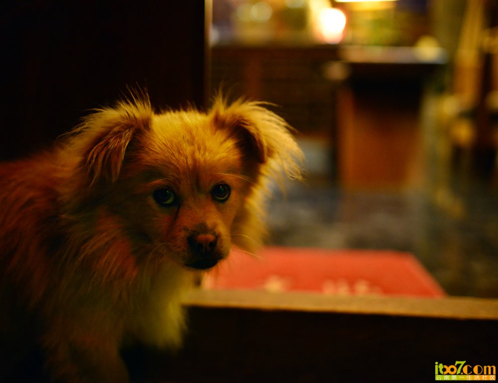 NIKON D80013.jpg
