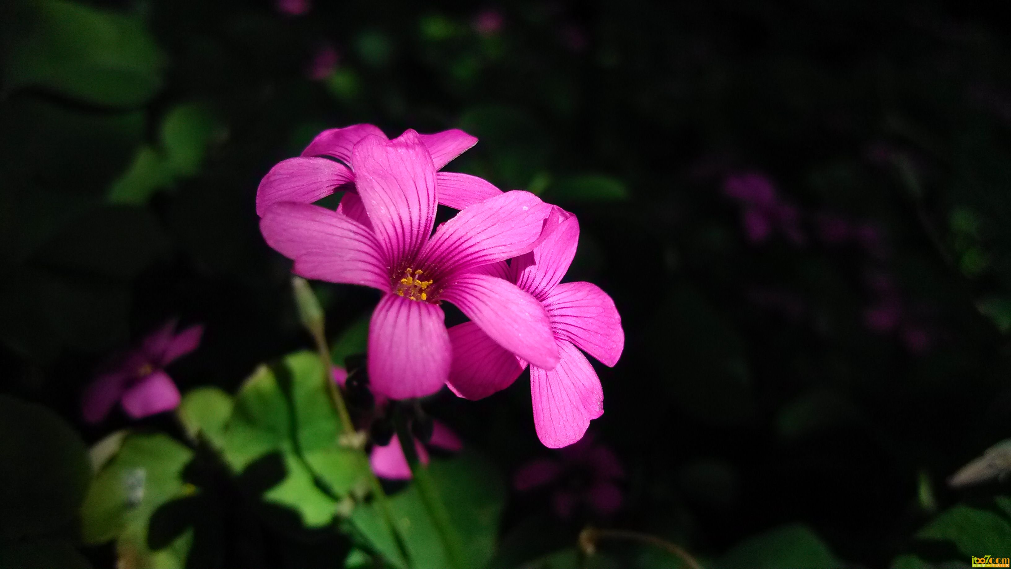 IMG_20131108_131025.jpg