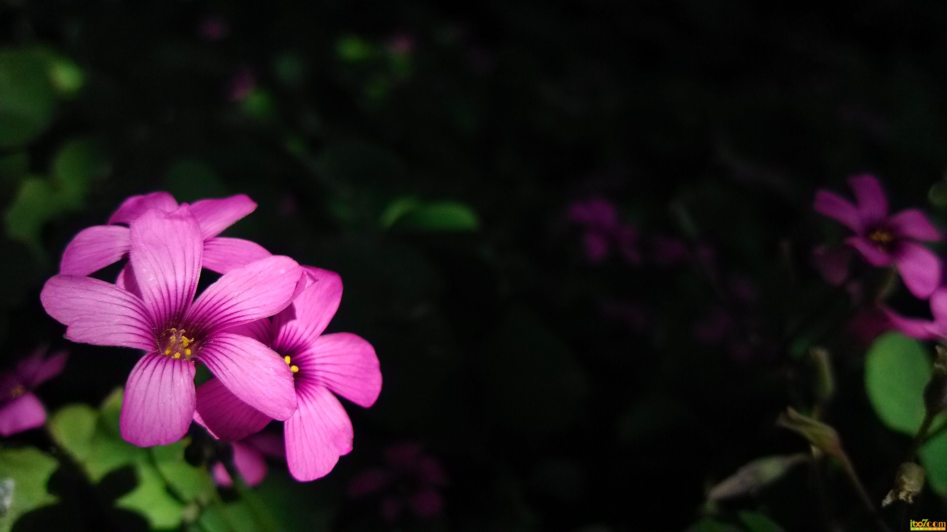 IMG_20131108_131019.jpg