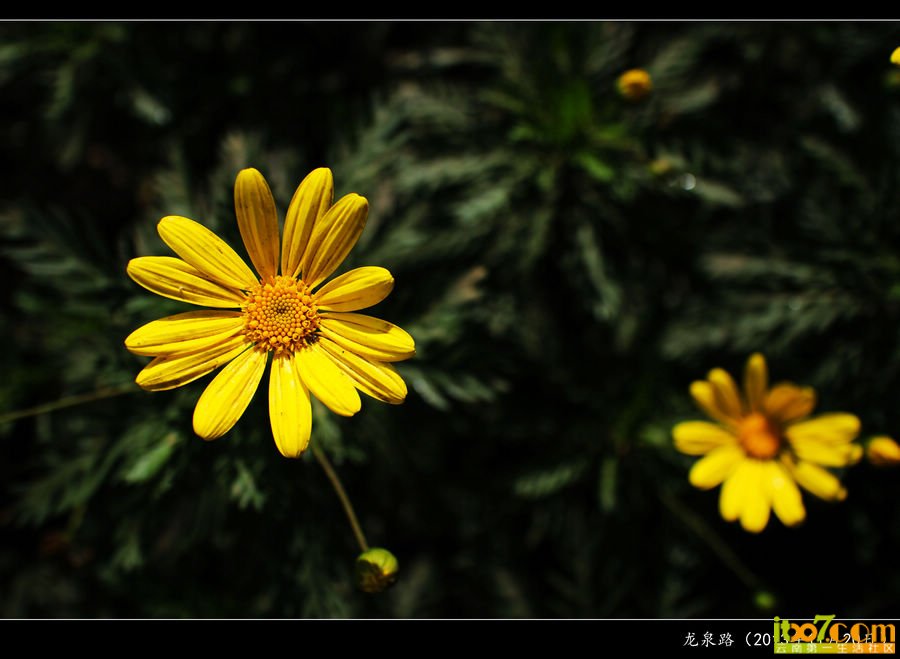 IMG_6114_副本.jpg