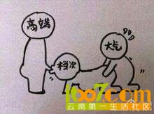 云南特产 痛风中药