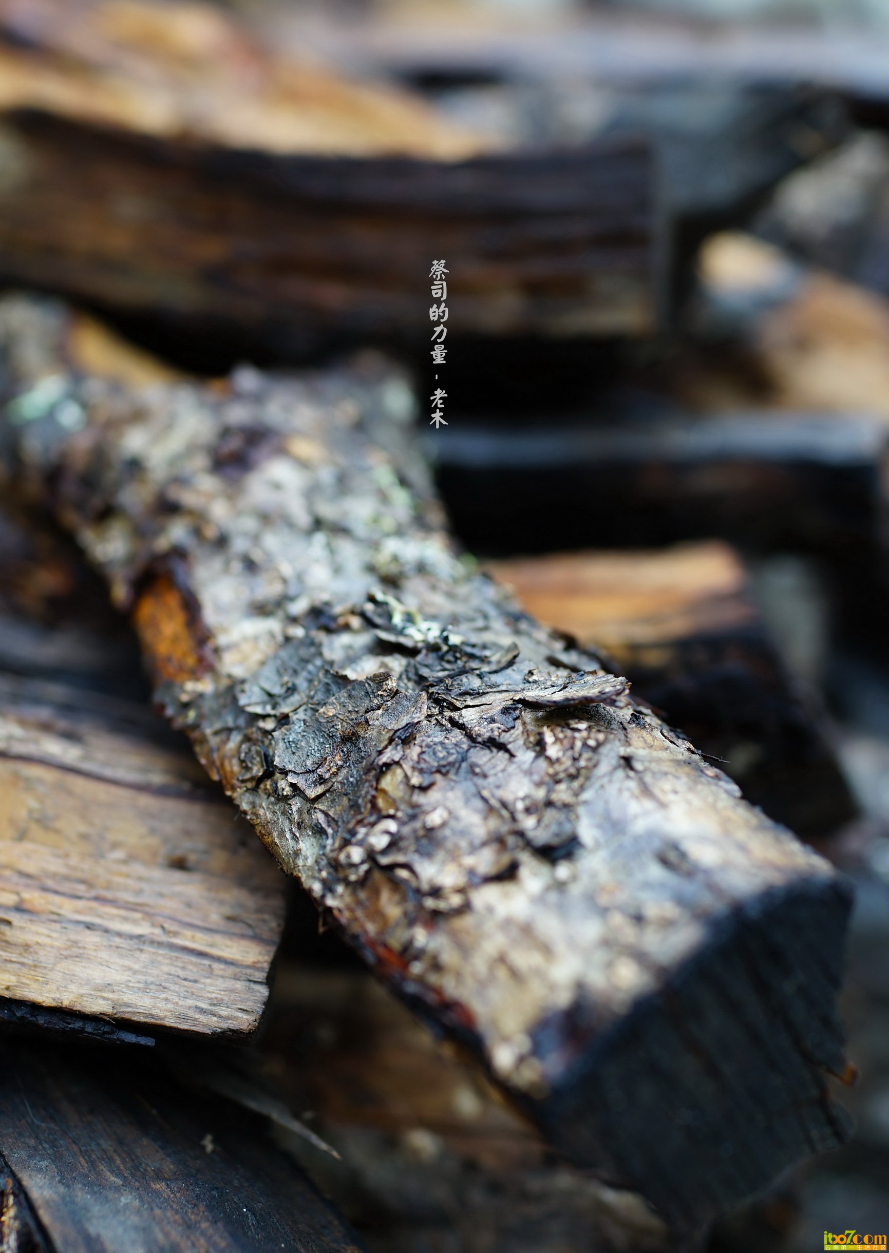 DSC01141_副本_缩小大小.jpg