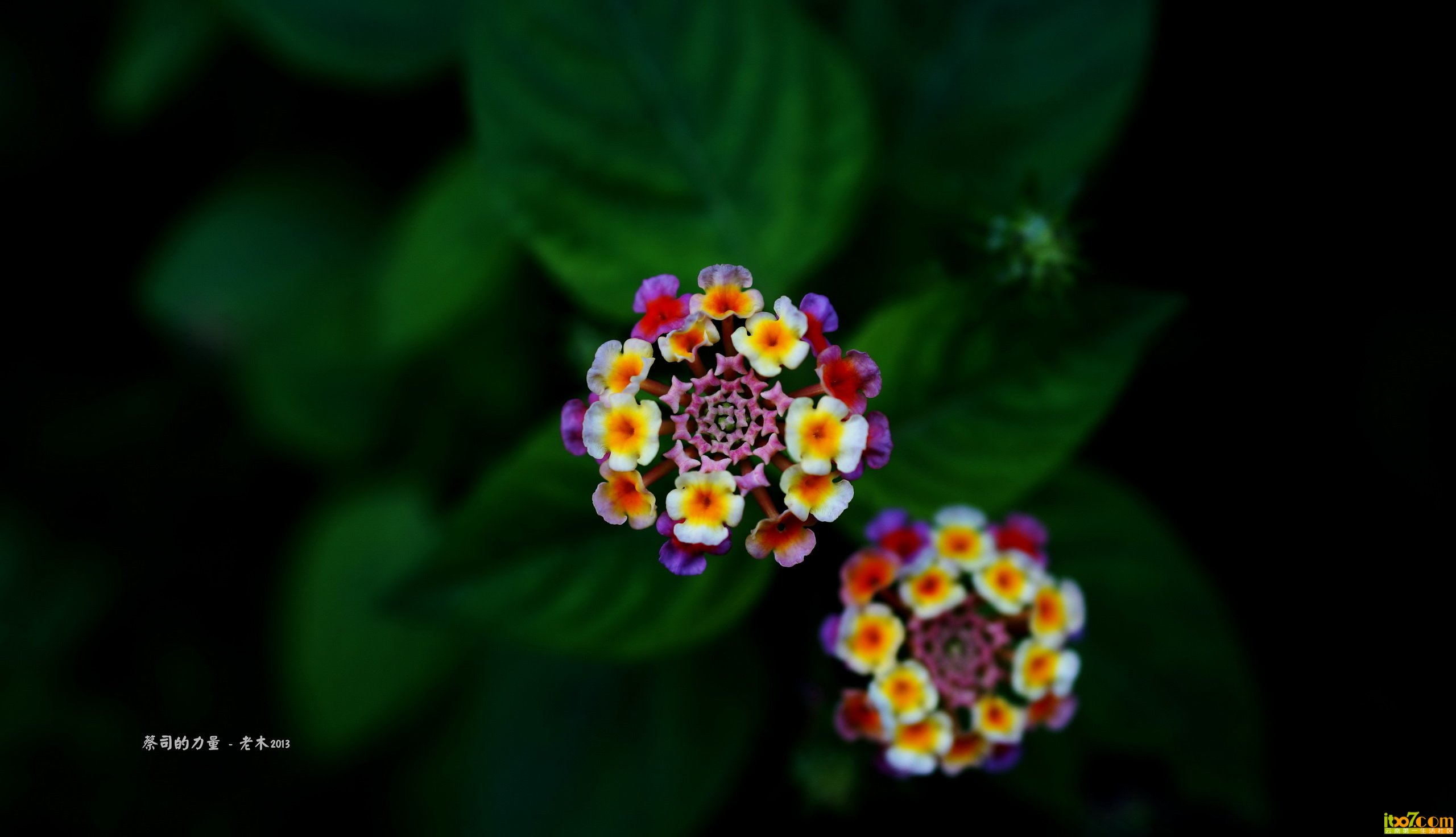 DSC02521_副本_缩小大小.jpg