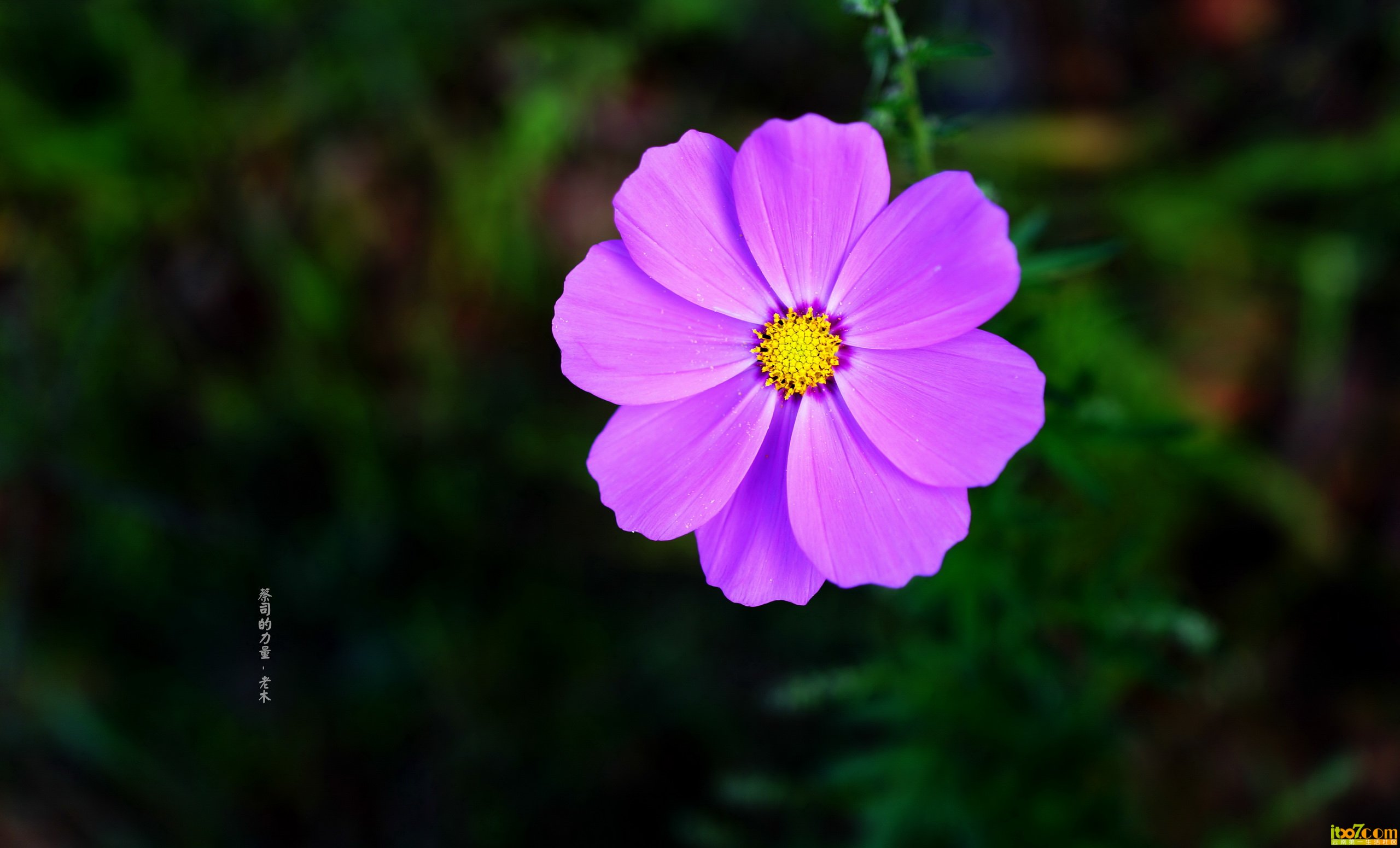 DSC01749_副本_缩小大小.jpg