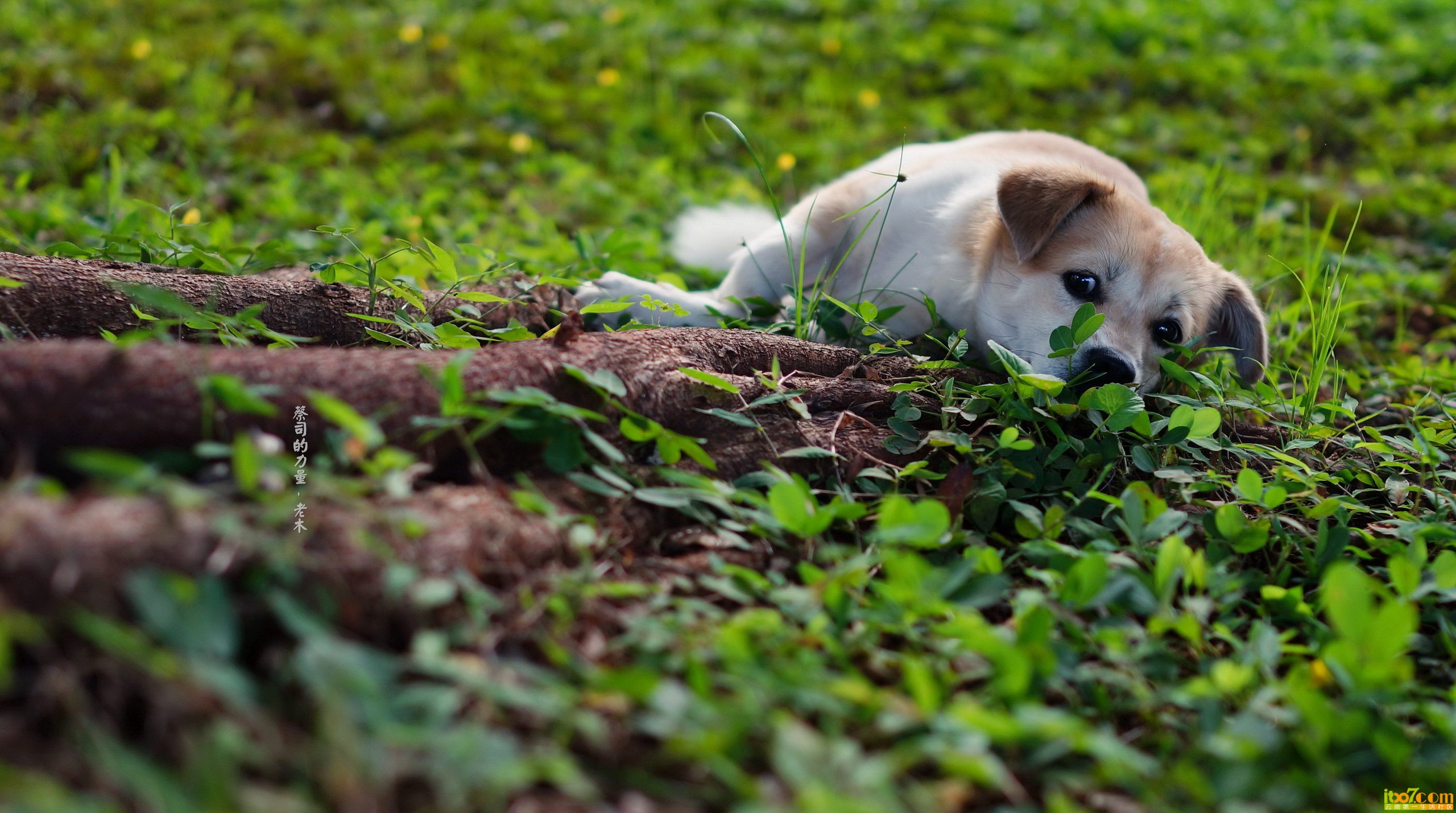 DSC007251_副本_缩小大小.jpg
