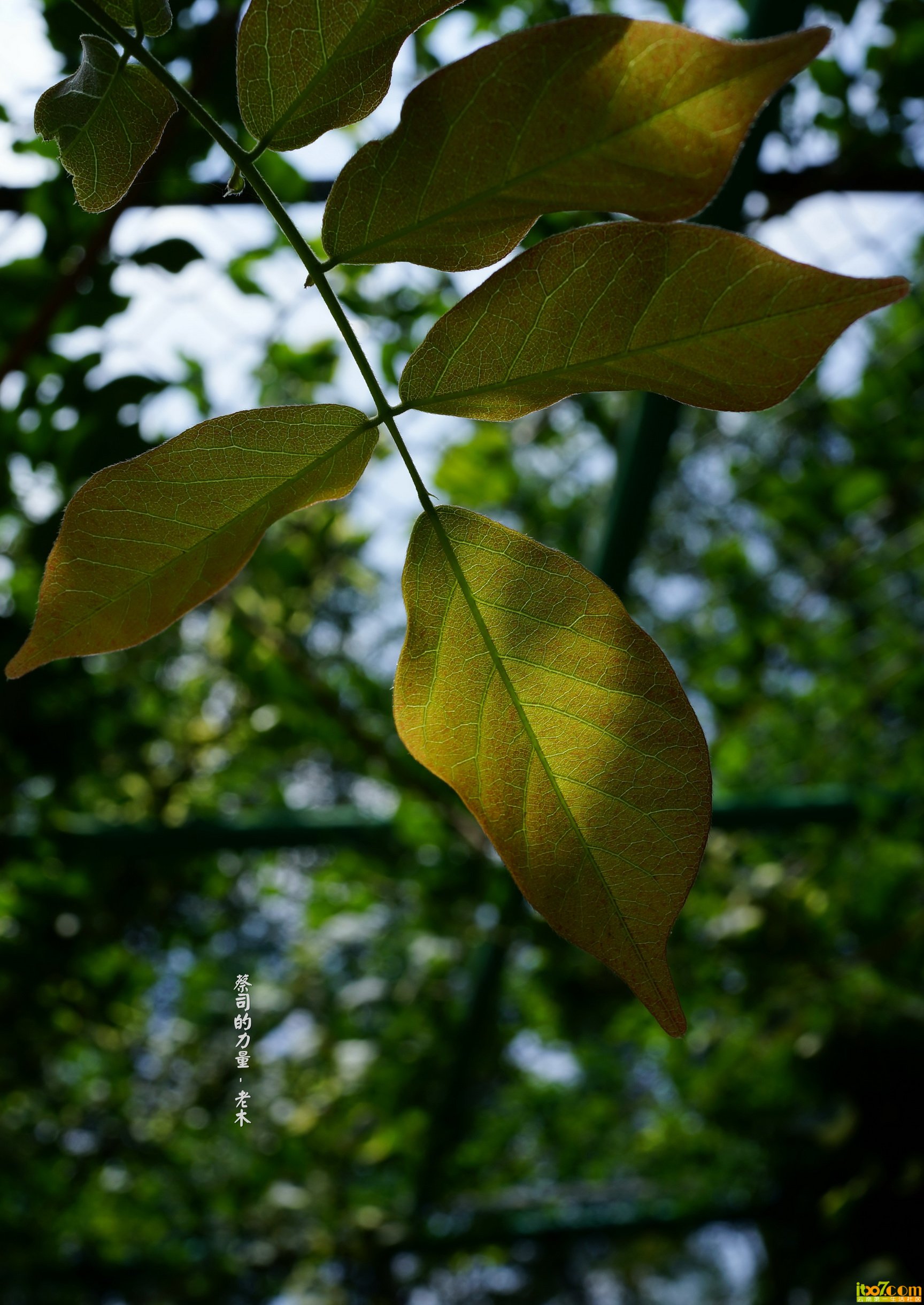 DSC01040_副本_缩小大小.jpg