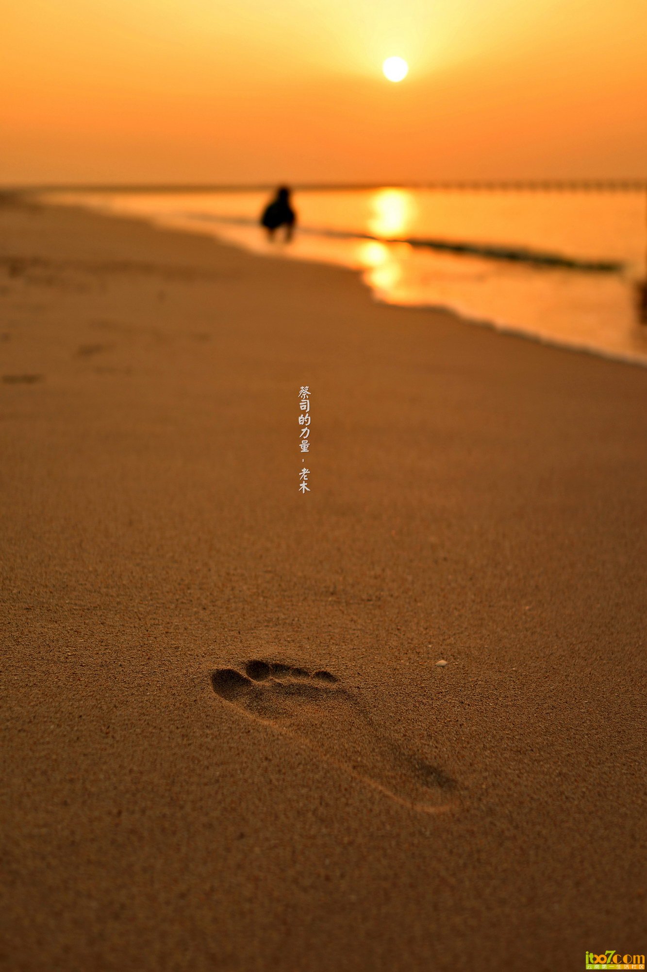dsc02534_副本_缩小大小.jpg