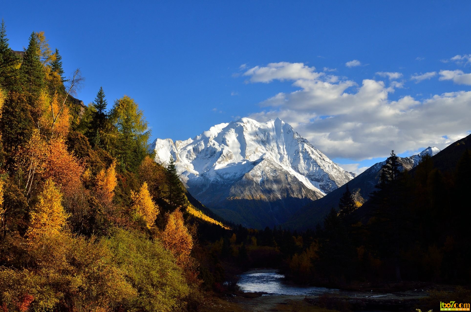DSC_1676.JPG
