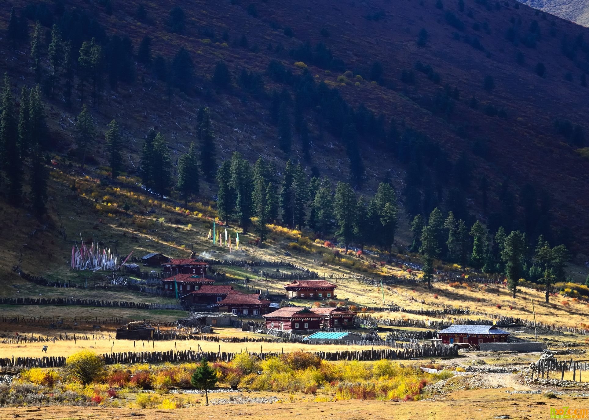 DSC_1751.JPG
