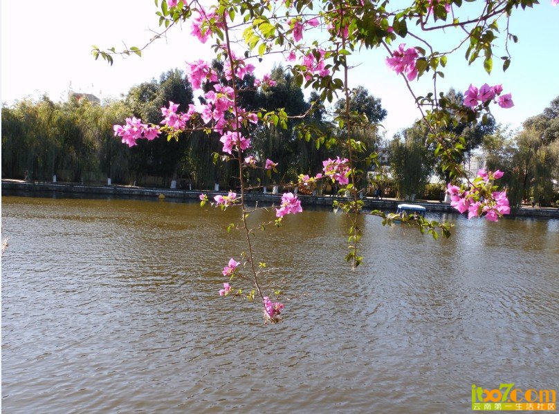 QQ图片20131202192732.jpg