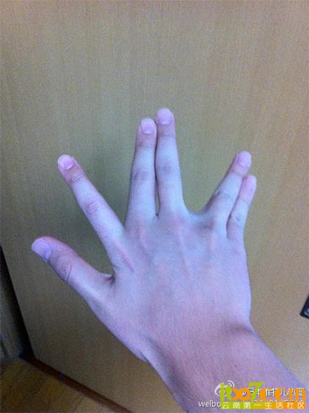 11-131126143K4-50.jpg