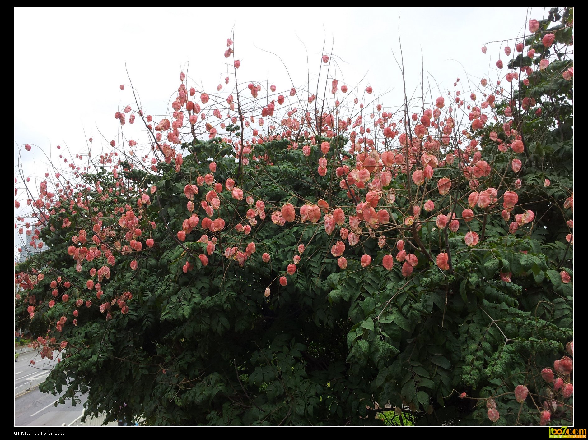 20130825_122320.jpg