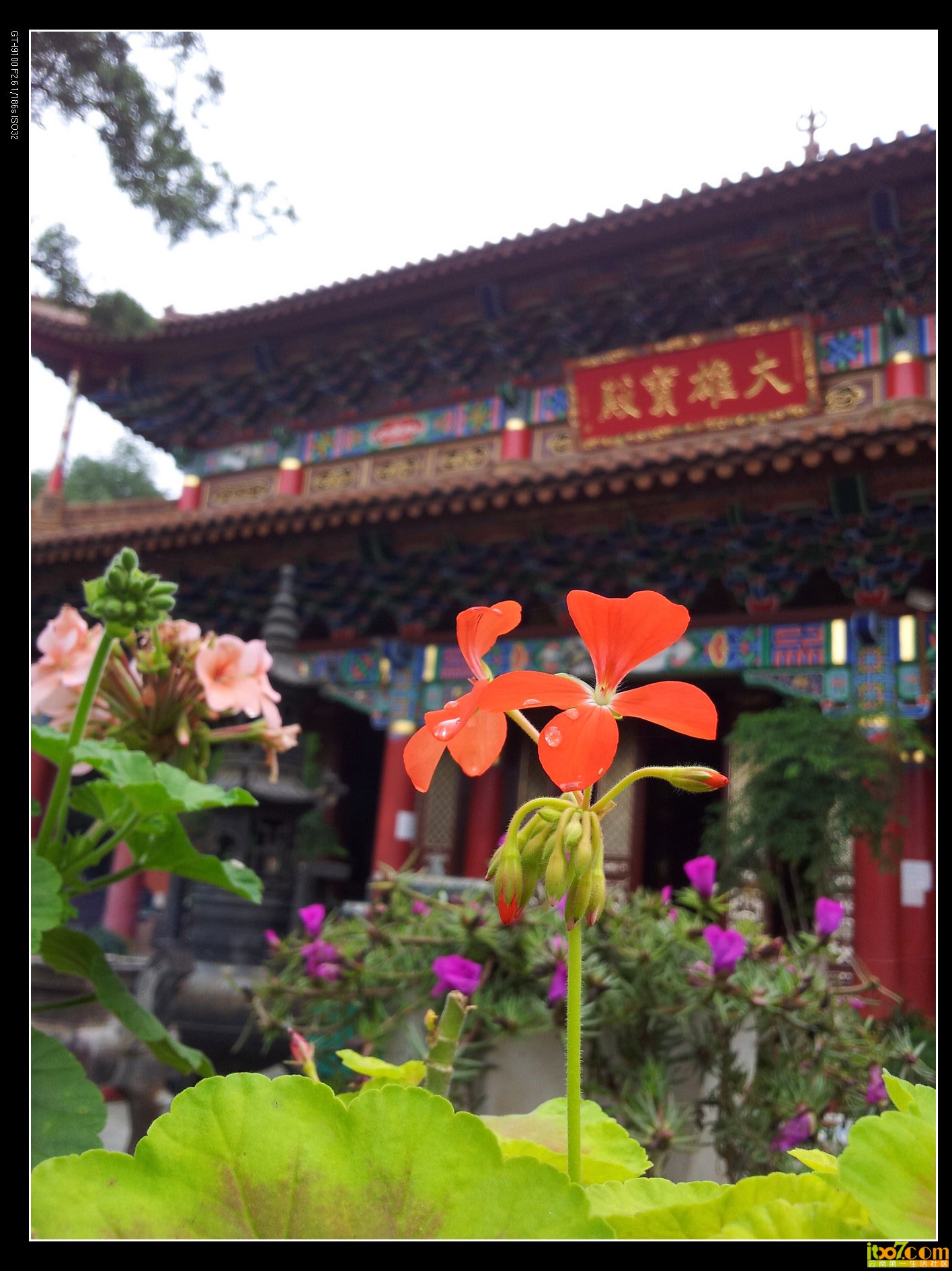 20130908_112709.jpg