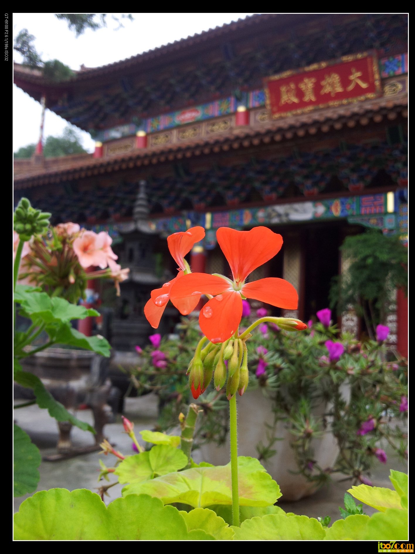 20130908_112732.jpg
