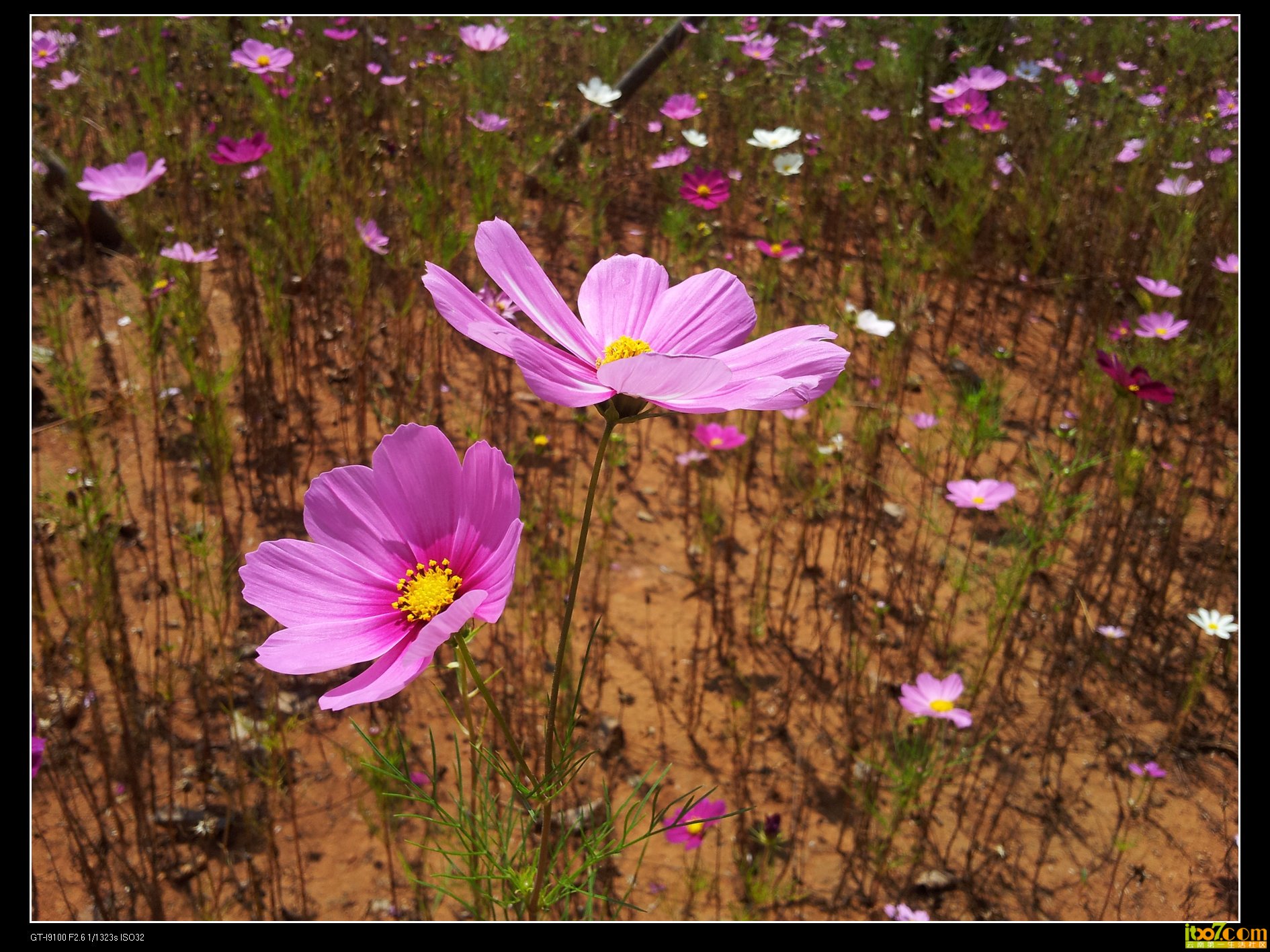 20130921_123406.jpg