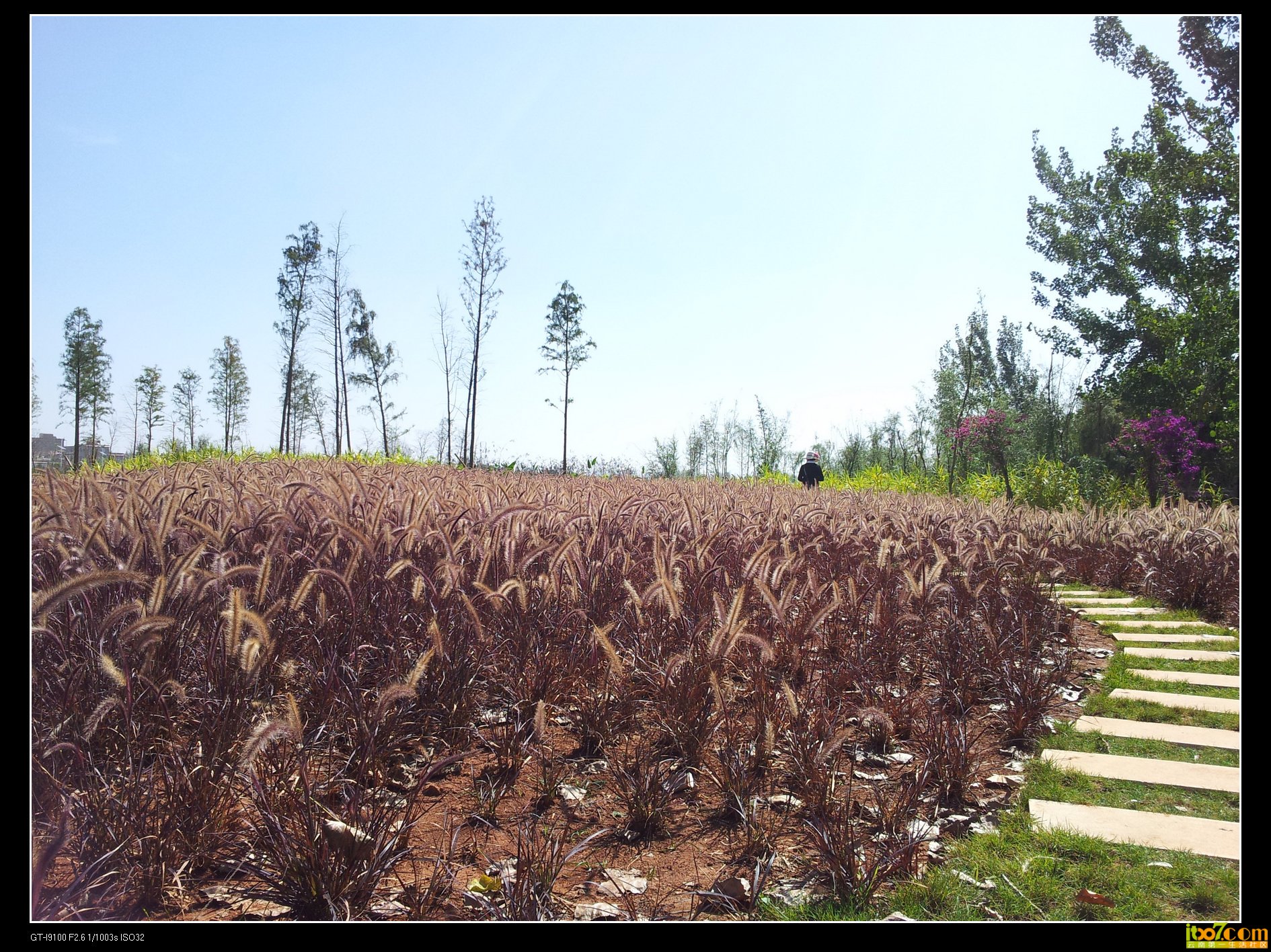 20130930_110848.jpg