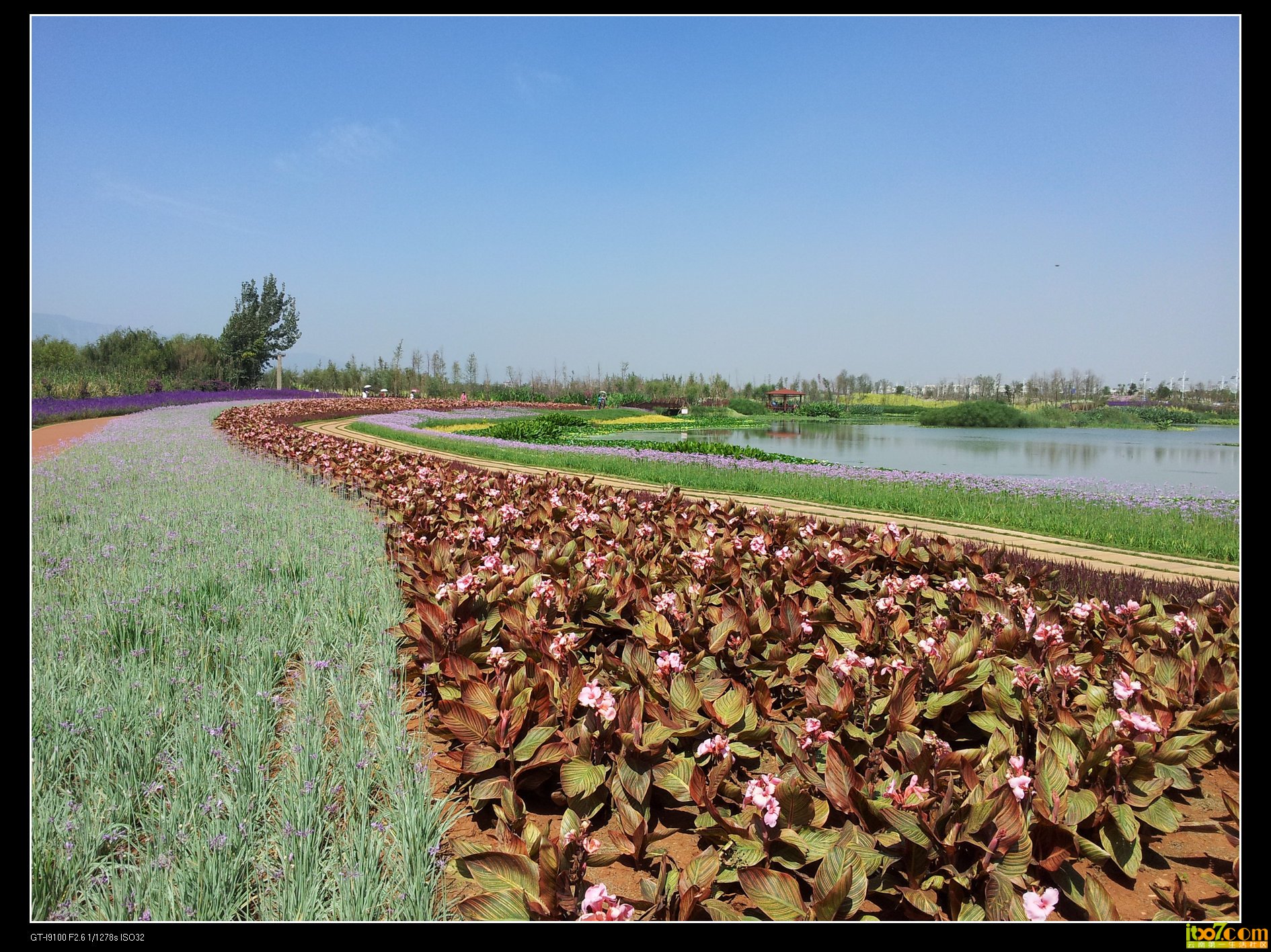 20130930_115156.jpg