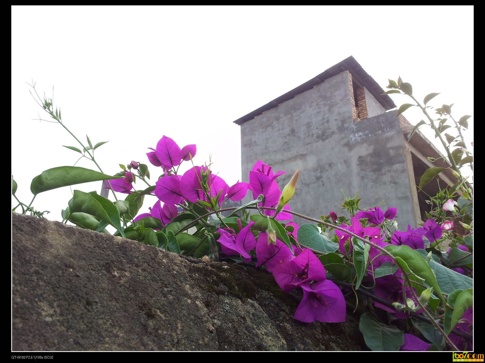 20131003_173141.jpg