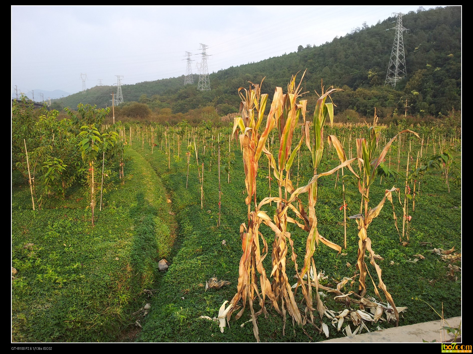 20131003_180302.jpg