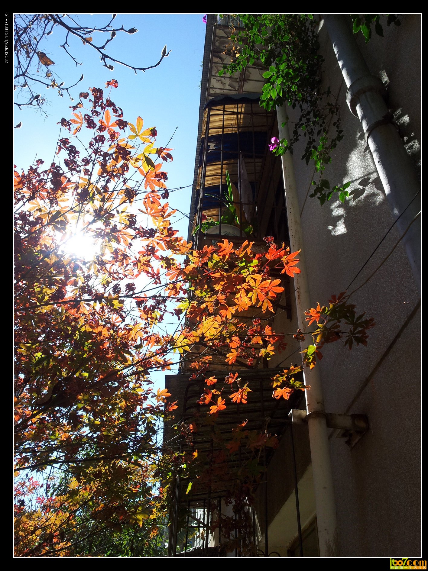 20131123_121358.jpg