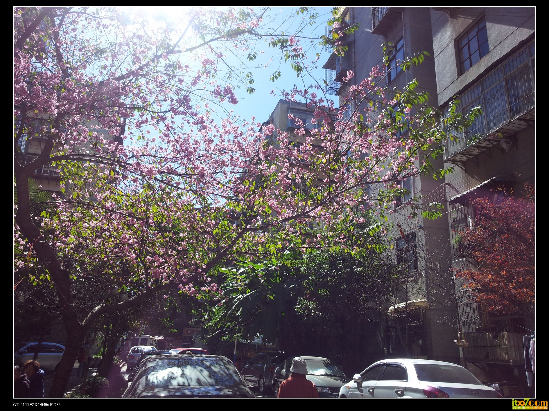 20131123_125207.jpg