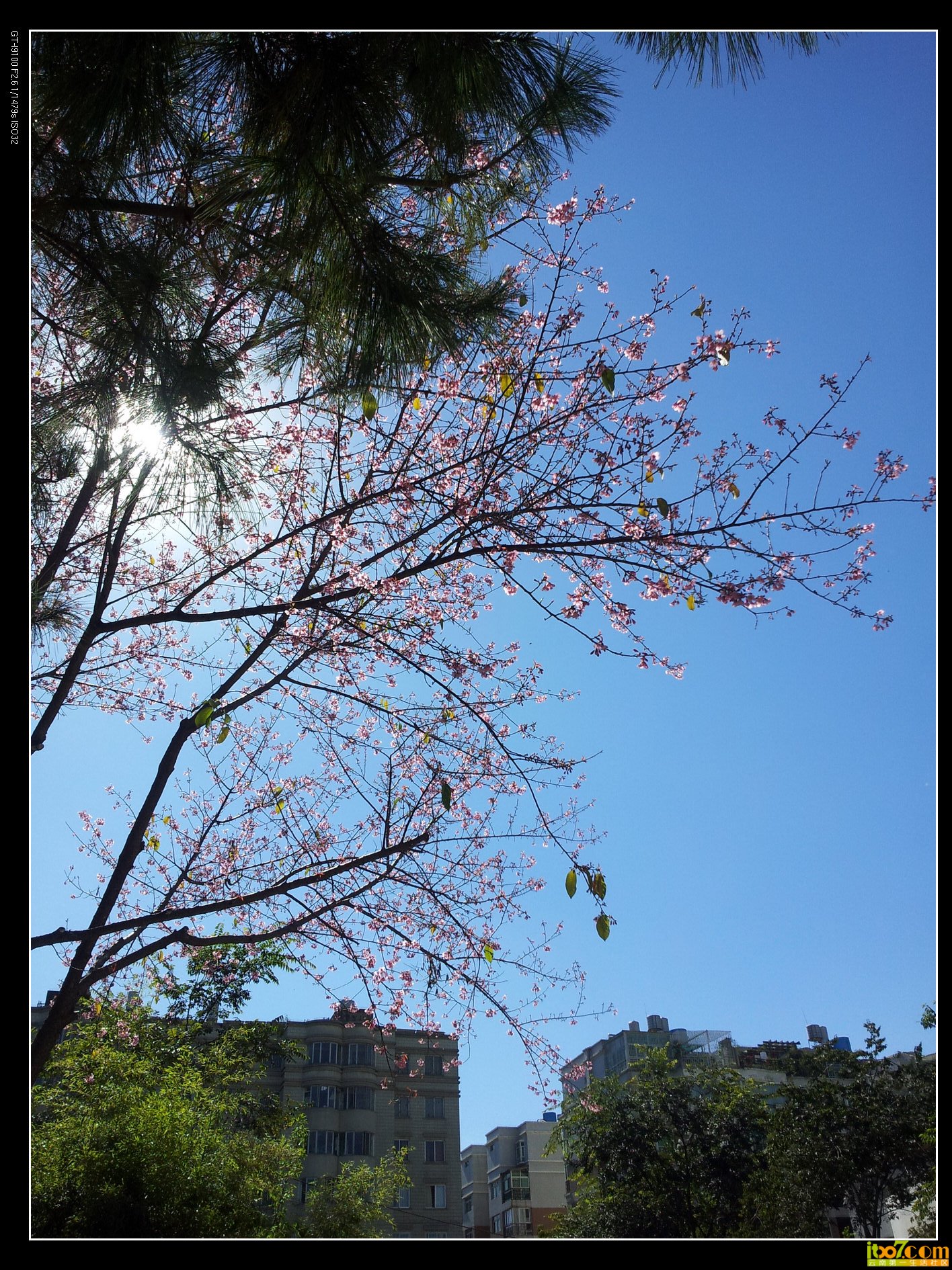 20131123_125534.jpg