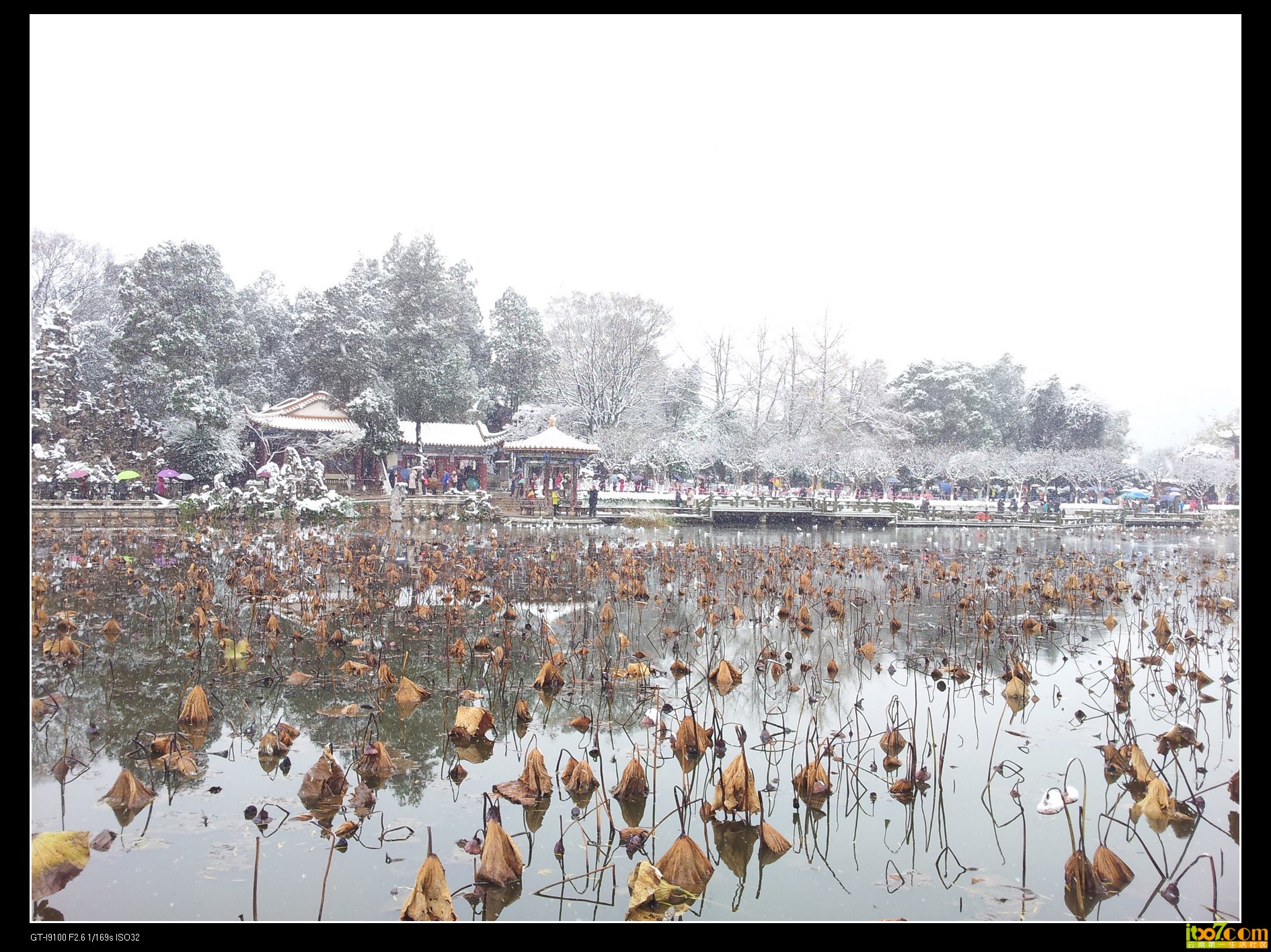 20131216_102423.jpg