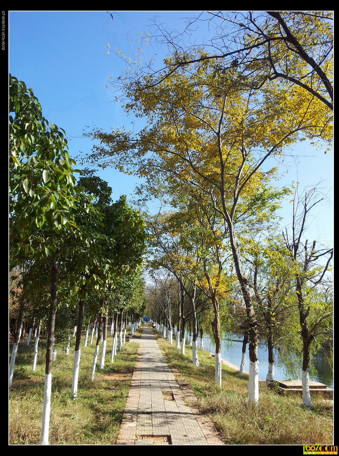 20131208_112606.jpg