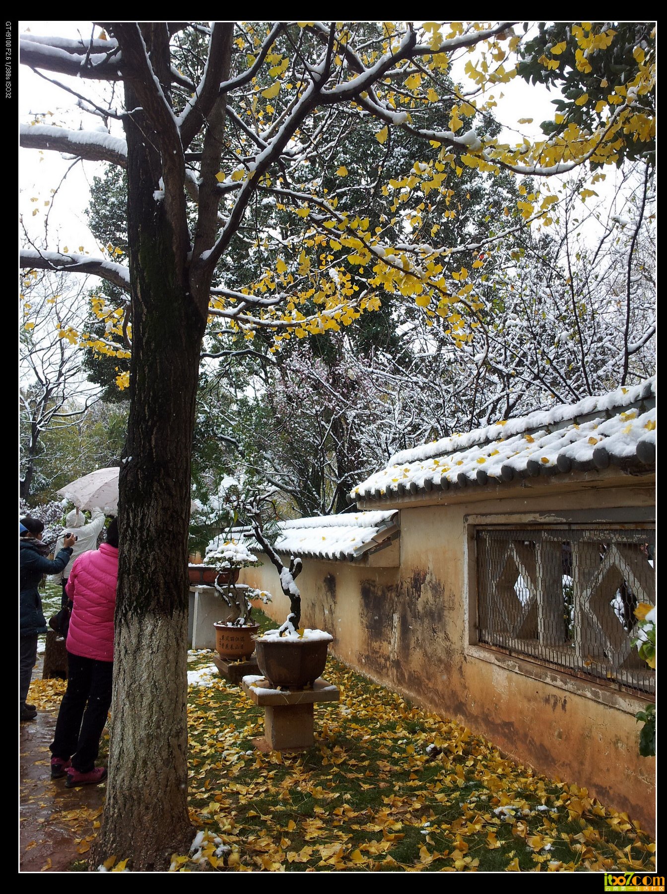 20131216_115904.jpg