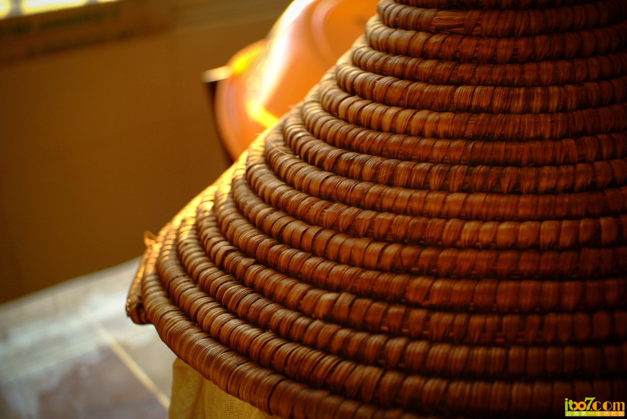 DSCF6696.jpg
